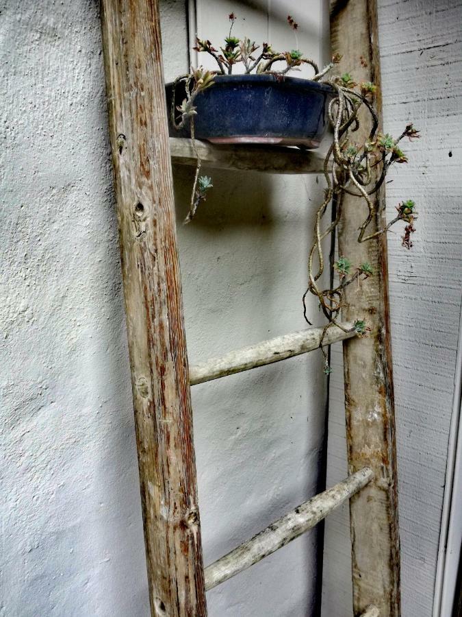 Casa Del Nespolo Panzió Pilzone Kültér fotó